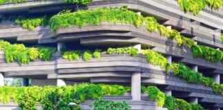 ekologia miasto klimat