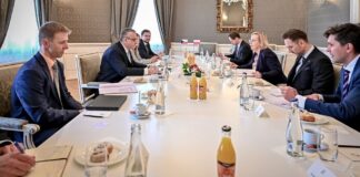 konsultacje polsko czeskie