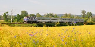 pociag intercity kolej