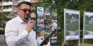 jastrzebie zdroj ryba