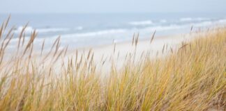 morze baltyckie wydmy