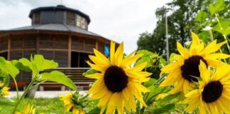 teznia solankowa rybnik paruszowiec piaski rac