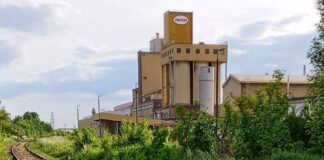 henkel pollena raciborz