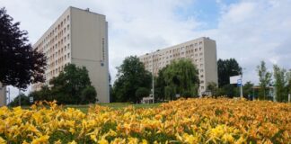 jastrzebie zdroj miasto