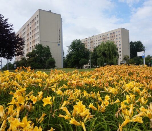 jastrzebie zdroj miasto