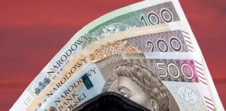 pieniadze pln