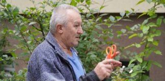 sklodowskiej raciborz skwer