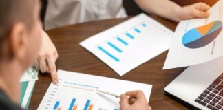 biznes firma statystyki