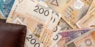 pieniadze zloty pln
