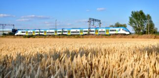 pociag koleje slaskie