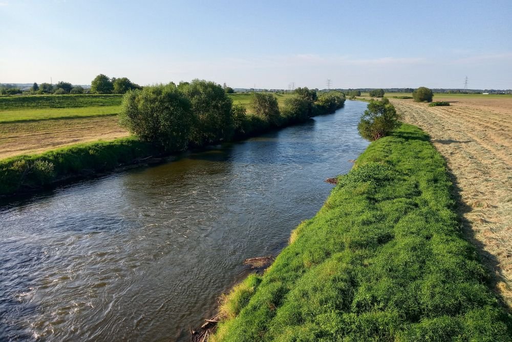 kanal ulga odra rzeka ekologia