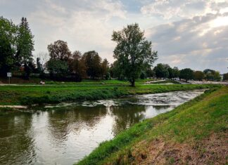 odra w raciborzu