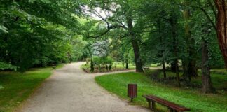 Park im. Franciszka Stala w Raciborzu