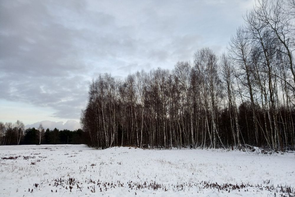 las zima kuznia raciborska