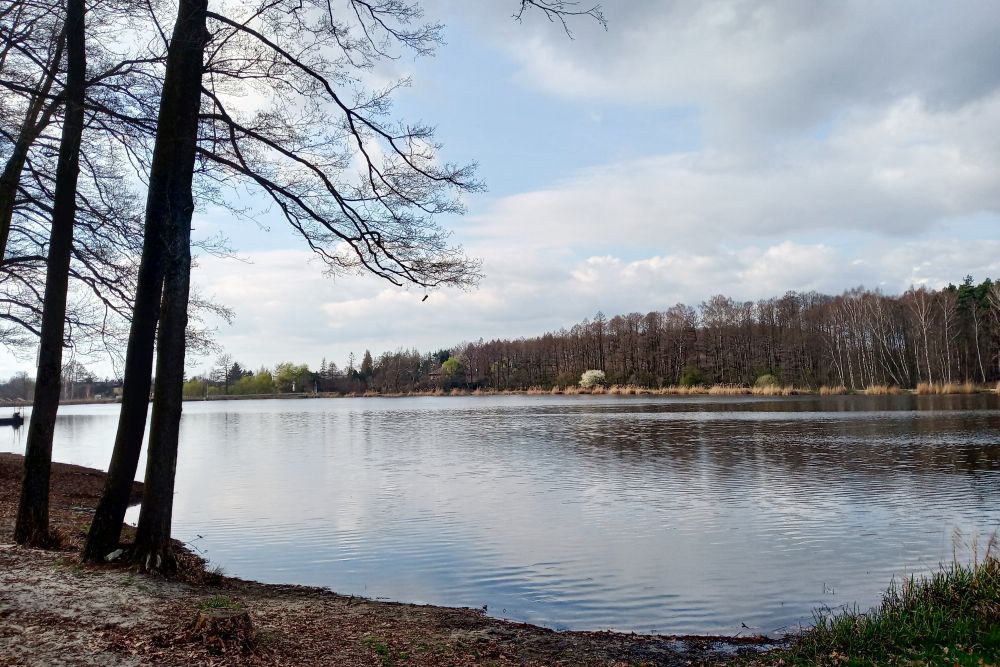 smieszek staw zory