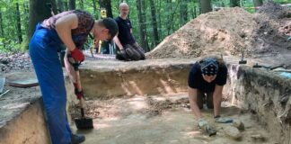 Grodzisko w Wodzisławiu Śląskim