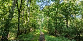 rezerwat przyrody lezczok