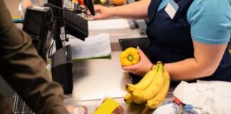 zakupy sklep kasa kasjerka praca