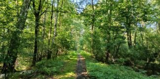 rezerwat przyrody lezczok