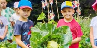 z pamietnika malego ogrodnika raciborz