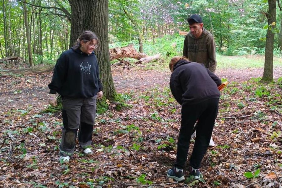 250 nowych drzew w Arboretum Bramy Morawskiej