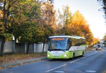 autobus raciborz wszystkich swietych