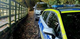 lezczok policja straz lesna