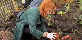 Mikrolas w Raciborzu poprawi jakość powietrza i komfort życia mieszkańców