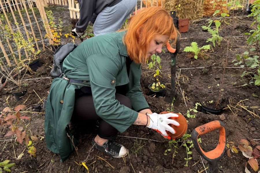Mikrolas w Raciborzu poprawi jakość powietrza i komfort życia mieszkańców