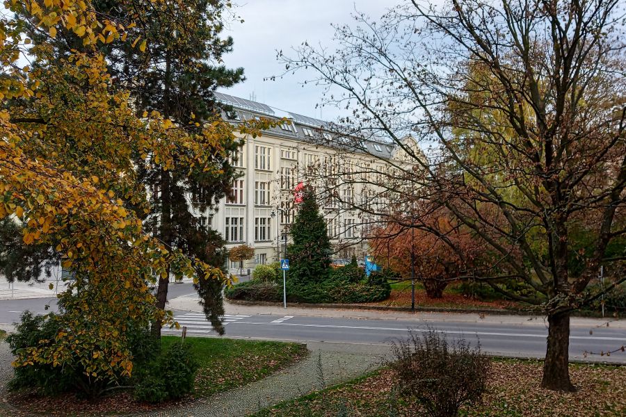 raciborz urzad miasta jesien