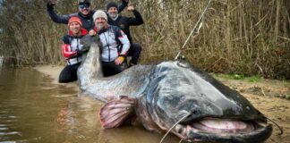 sum rekord swiata rybnik