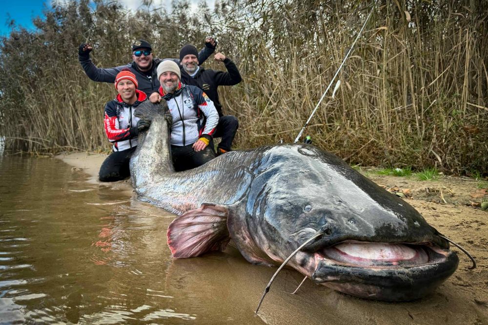 sum rekord swiata rybnik