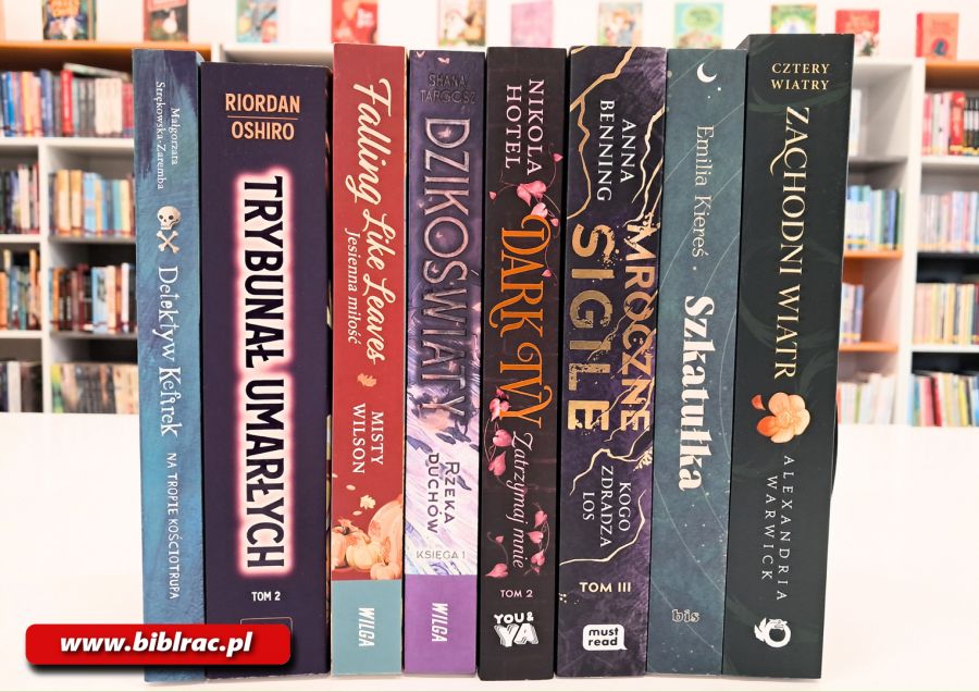 nowości biblioteka