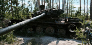 wojna ukraina ekologia