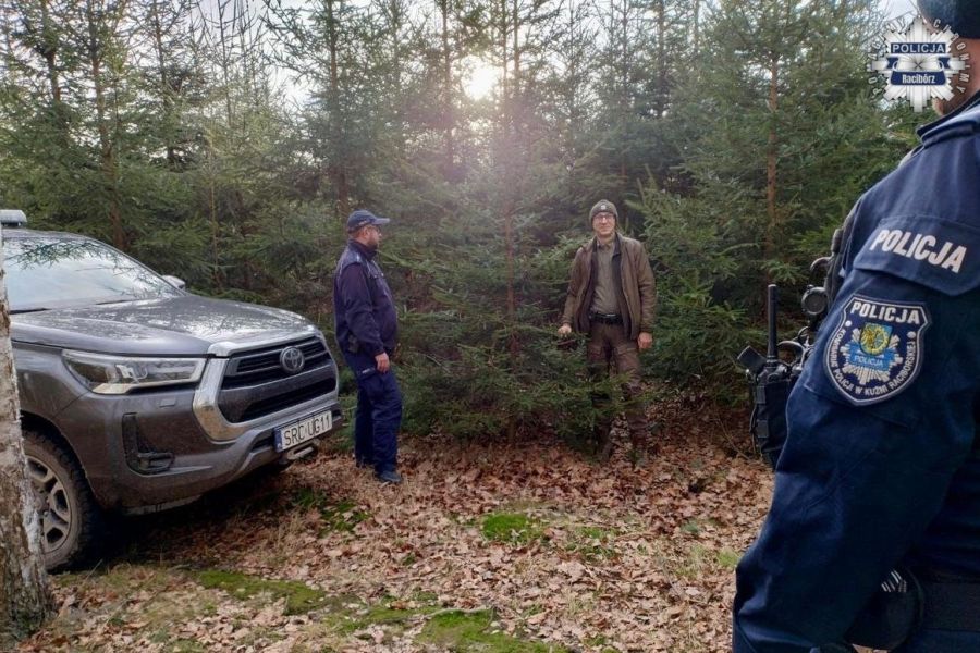 legalne choinki raciborz