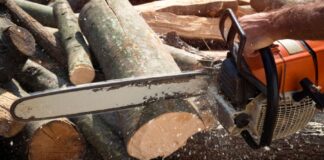 drzewo drewno wycinka pila