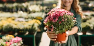 kwiaty ogrod doniczka praca