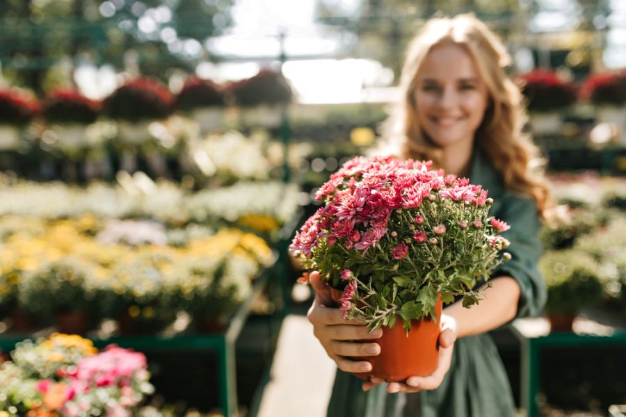 kwiaty ogrod doniczka praca