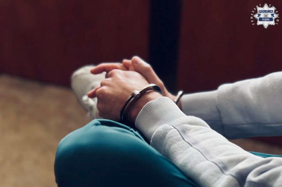 przestepstwa gospodarcze slaskie