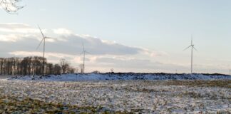 wiatraki oze pietrowice