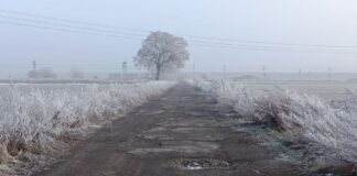 Wiosna w grudniu i arktyczny styczeń. Co dzieje się z polskim klimatem?