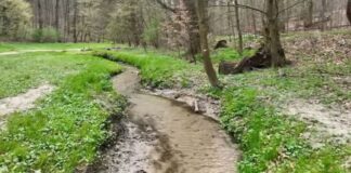 park repecki puszcza