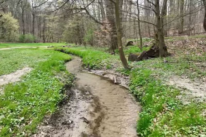 park repecki puszcza