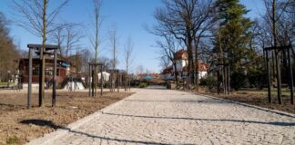 park zdrojowy jastrzebie