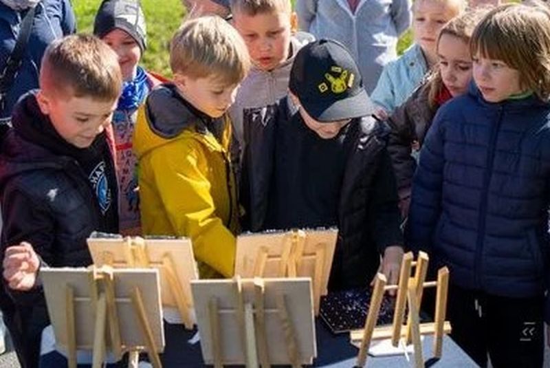 sadzenie drzew rybnik