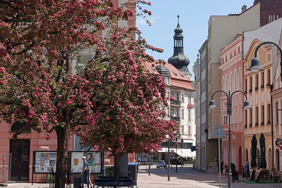 Podróże bliżej domu i poza sezonem. Turystyka w nowej odsłonie karniów