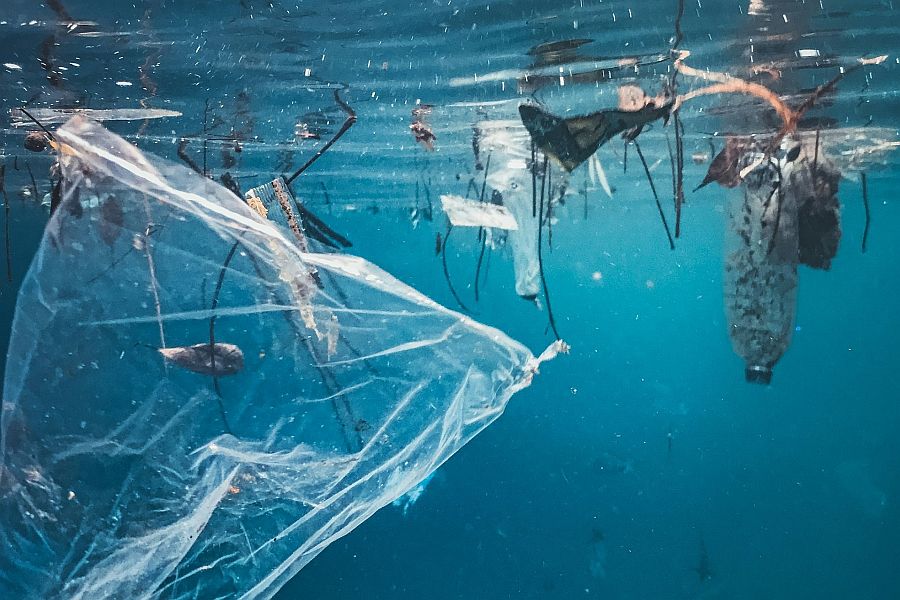Światowy Dzień Oceanów zwraca uwagę na rosnący problem zanieczyszczenia wód