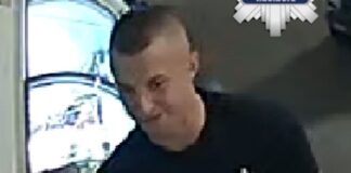 policja