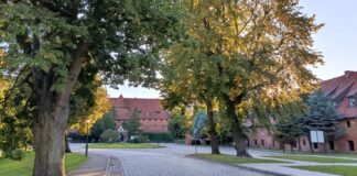 malbork zamek