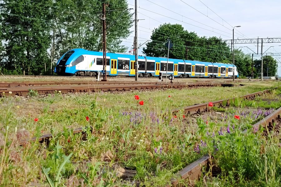 pociag koleje slaskie raciborz